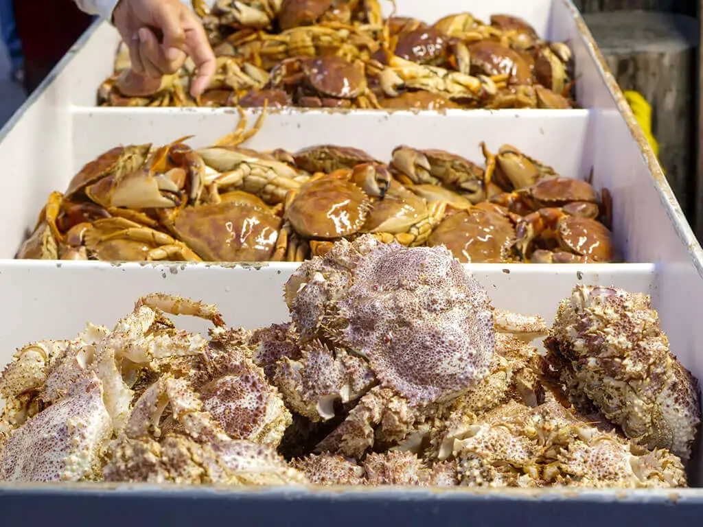 Crabs in the freezer