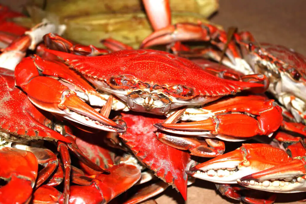 Keep The Texture And Color Of Crabs' Meat