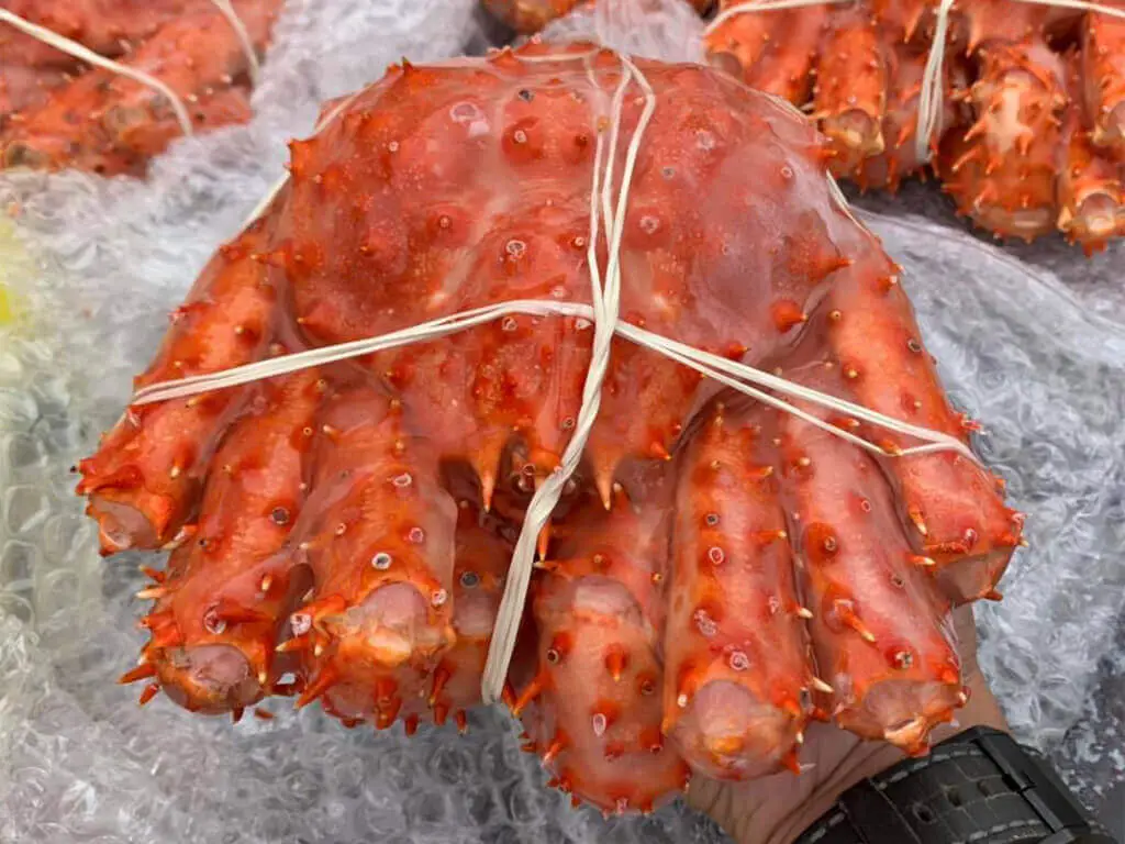 King crab