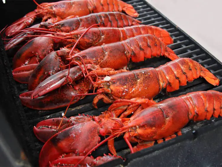 Alaska Lobster Vs. Maine Lobster: 5 Significant Differences