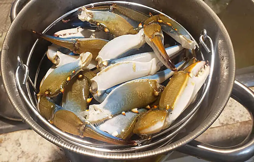 Tips for cooking frozen crabs