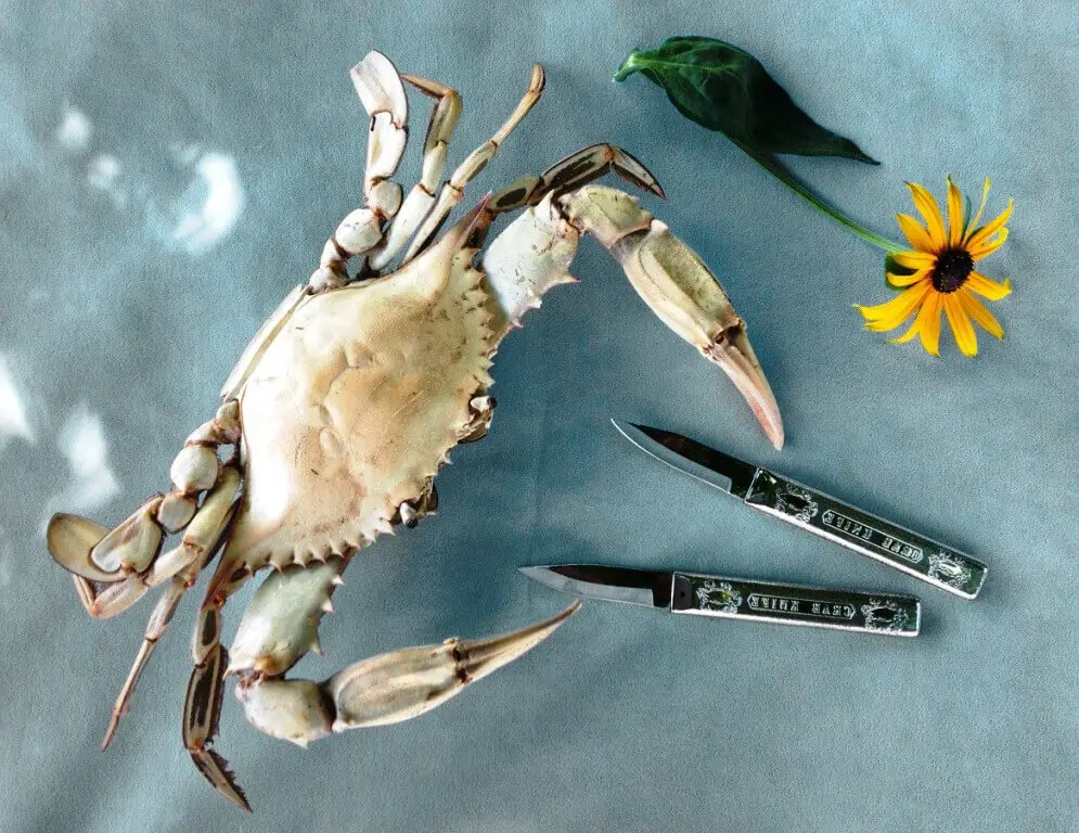 Use a knife to kill crabs