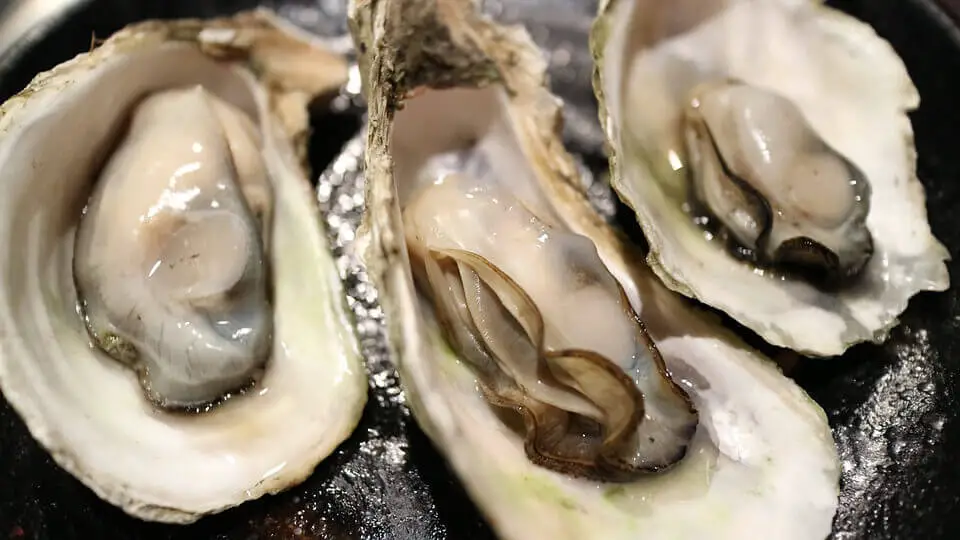 Clean oysters