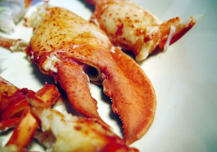 There are several ways to defrost the frozen lobster