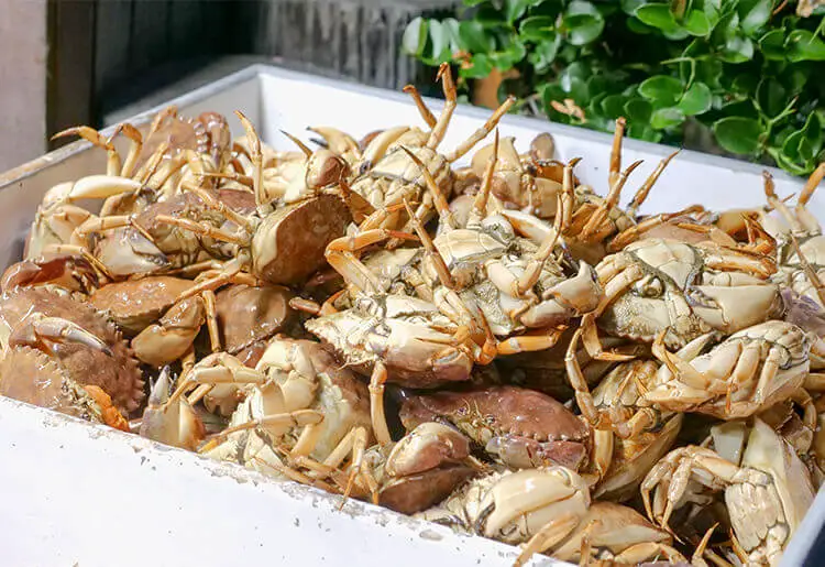 Dead crabs may cause various health issues
