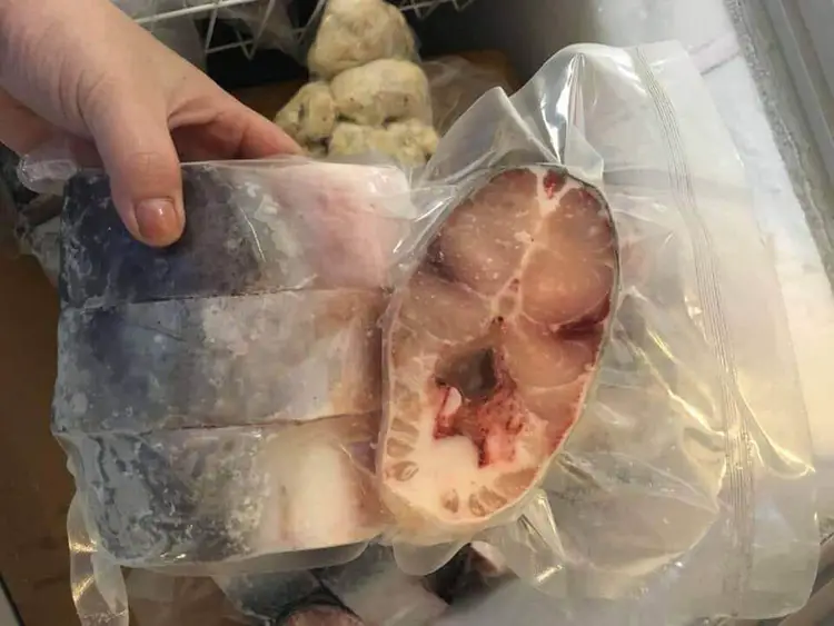 Store catfish in the freezer