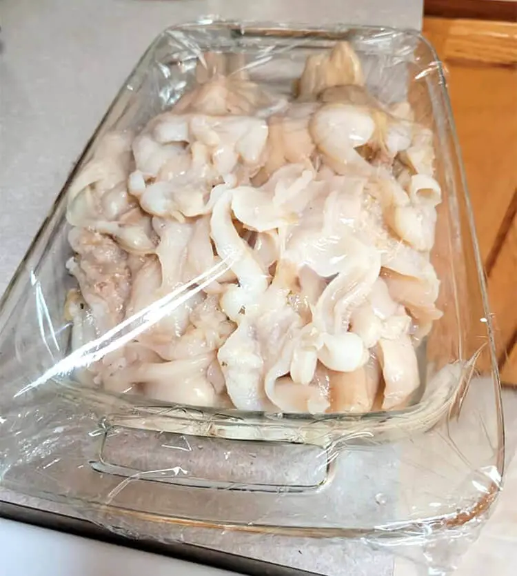 Store cooked razor clams