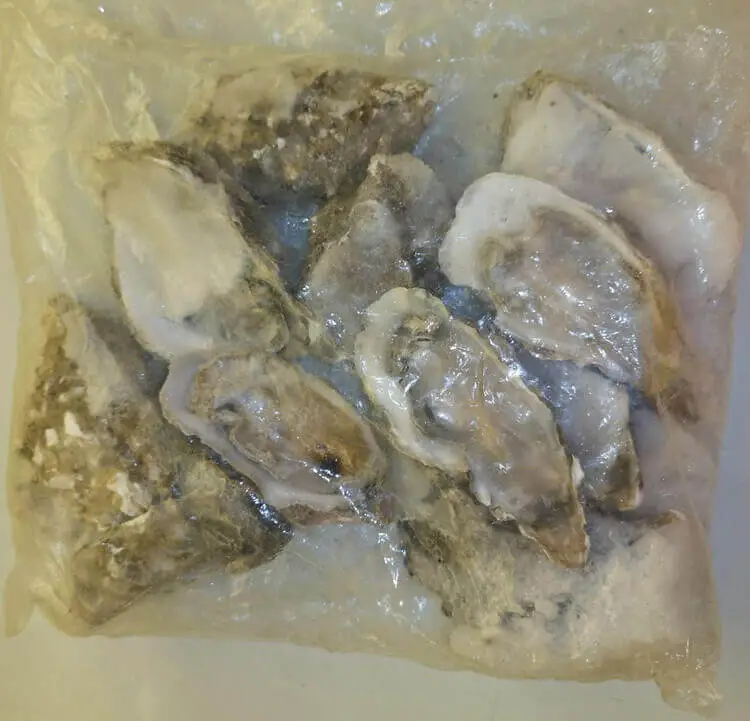Frozen half-shell oysters